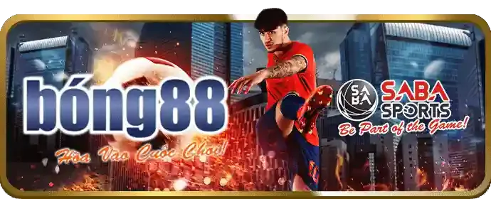 Cá cược quần vợt tại tg88.com
